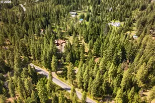 117 Jennings Rd, Trout Lake, WA 98650 - Photo 43