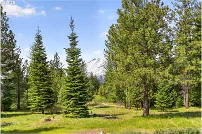 117 Jennings Rd, Trout Lake, WA 98650 - Photo 3