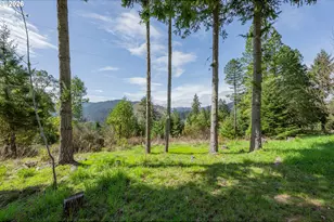 1020 Spooner Ridge Ln, Oakland, OR 97462 - Photo 41
