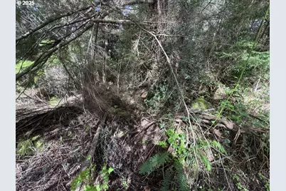 0 Wildberry Rd, Coos Bay, OR 97420 - Photo 7