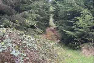 0 Wildberry Rd, Coos Bay, OR 97420 - Photo 1