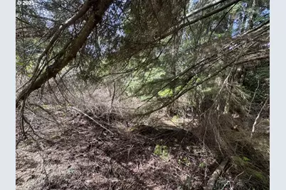 0 Wildberry Rd, Coos Bay, OR 97420 - Photo 5