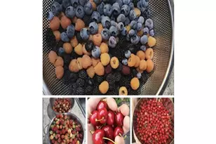 864 Spencer Rd, Toledo, WA 98591 - Photo 41