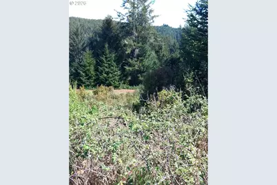 83615 Clear Lake Rd #11, Florence, OR 97439 - Photo 9