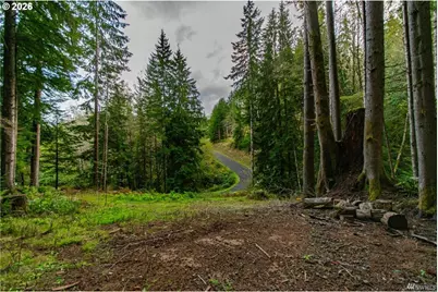 1 Lot Bison Run, Longview, WA 98632 - Photo 9