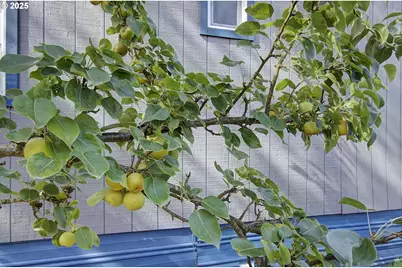 107 Guinevere Ct, Castle Rock, WA 98611 - Photo 27