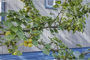 107 Guinevere Ct, Castle Rock, WA 98611 - Photo 27