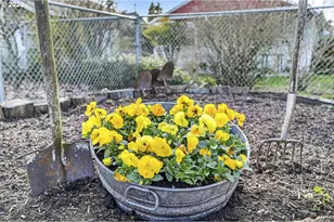 8025 N Chase Ave, Portland, OR 97217 - Photo 31