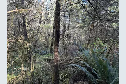 5 Hilltop Dr #1403, Lakeside, OR 97449 - Photo 23