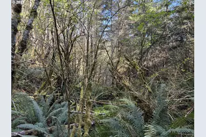 5 Hilltop Dr #1403, Lakeside, OR 97449 - Photo 25