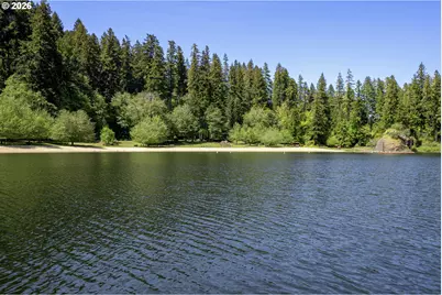 1901 Loon Lake  Lot 8 Rd, Reedsport, OR 97467 - Photo 11