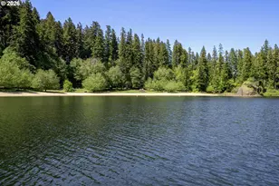 1901 Loon Lake Rd Lot 8, Reedsport, OR 97467 - Photo 11