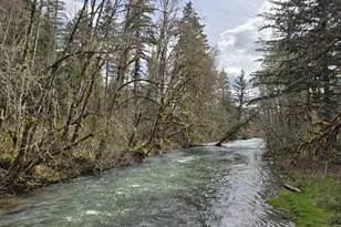 16817 Nonpareil Rd, Sutherlin, OR 97479 - Photo 37