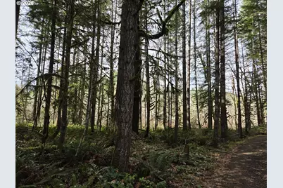 16817 Nonpareil Rd, Sutherlin, OR 97479 - Photo 35