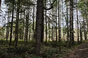 16817 Nonpareil Rd, Sutherlin, OR 97479 - Photo 35