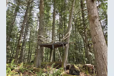 16817 Nonpareil Rd, Sutherlin, OR 97479 - Photo 33