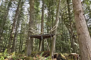 16817 Nonpareil Rd, Sutherlin, OR 97479 - Photo 33