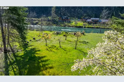 46836 McKenzie Hwy, Vida, OR 97488 - Photo 43