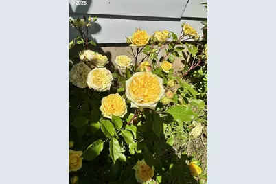 402 Skelton Rd, Stevenson, WA 98648 - Photo 39