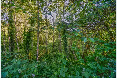 0 Spring St, Clatskanie, OR 97016 - Photo 3