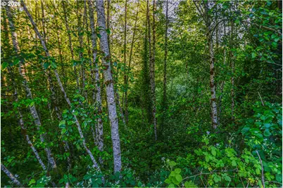 0 Spring St, Clatskanie, OR 97016 - Photo 5