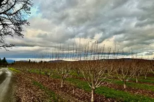 4100 Portland Dr, Hood River, OR 97031 - Photo 1