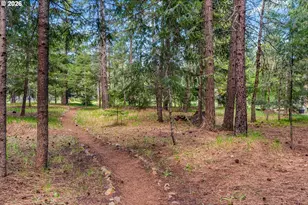 56 Lava Rd, Trout Lake, WA 98650 - Photo 41