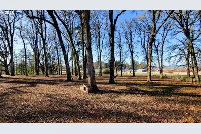 92817 Territorial Hwy, Junction City, OR 97448 - Photo 39