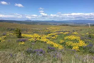 412 Schilling Rd, Lyle, WA 98635 - Photo 47