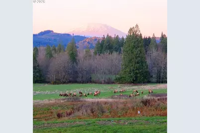 39827 NE Gerber McKee Rd, Amboy, WA 98601 - Photo 47