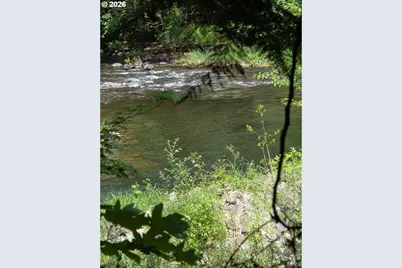Lewis Cemetery Rd, Silverton, OR 97381 - Photo 9