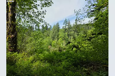 Lewis Cemetery Rd, Silverton, OR 97381 - Photo 3