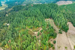 81499 Territorial Hwy, Eugene, OR 97405 - Photo 39