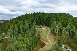 81499 Territorial Hwy, Eugene, OR 97405 - Photo 35