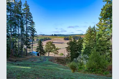 81499 Territorial Hwy, Eugene, OR 97405 - Photo 3