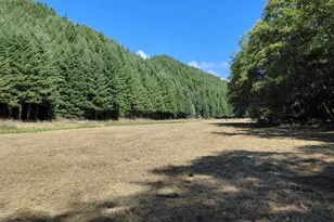 1860 Oar Creek Rd, Reedsport, OR 97467 - Photo 17