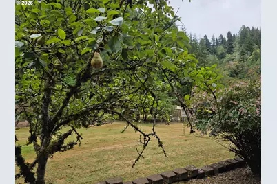 1860 Oar Creek Rd, Reedsport, OR 97467 - Photo 5