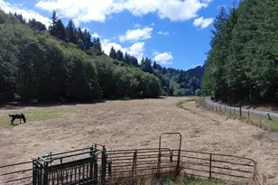 1860 Oar Creek Rd, Reedsport, OR 97467 - Photo 15