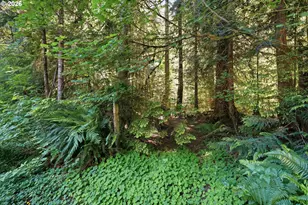 50136 SE Weber Rd, Sandy, OR 97055 - Photo 43
