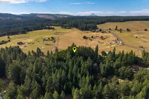 24 Meadows Loop, Lyle, WA 98635 - Photo 11