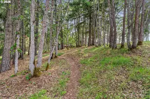 24 Meadows Loop, Lyle, WA 98635 - Photo 17