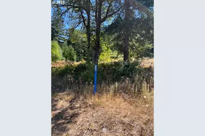 3355 James Rd, Hood River, OR 97031 - Photo 19