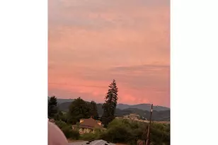 459 Lydia St, Yoncalla, OR 97499 - Photo 29