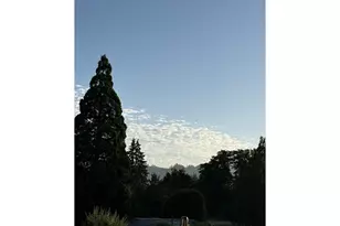 459 Lydia St, Yoncalla, OR 97499 - Photo 29