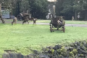 9890 SW Grabhorn Rd, Beaverton, OR 97007 - Photo 47