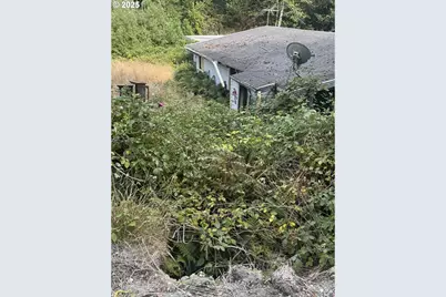 33155 Cedar Valley Rd, Gold Beach, OR 97444 - Photo 3
