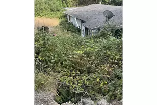 33155 Cedar Valley Rd, Gold Beach, OR 97444 - Photo 3