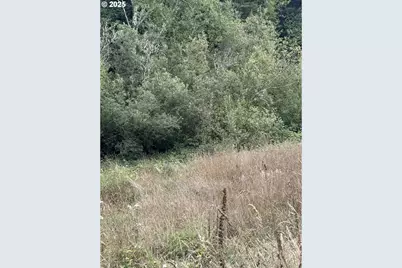 33155 Cedar Valley Rd, Gold Beach, OR 97444 - Photo 5