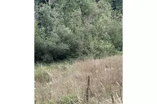 33155 Cedar Valley Rd, Gold Beach, OR 97444 - Photo 5