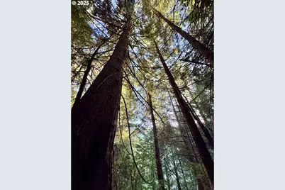 000 Old Wagon, Coos Bay, OR 97420 - Photo 19